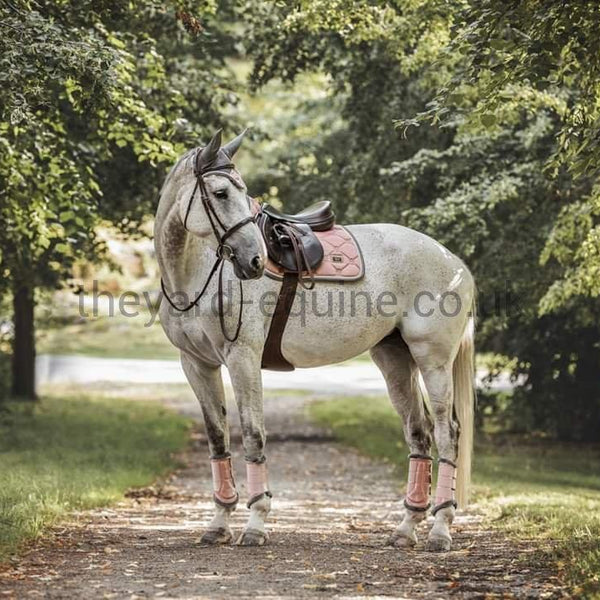 Equestrian Stockholm Brushing Boots - Pink-Brushing Boots-Equestrian Stockholm-Small-Pink-The Yard